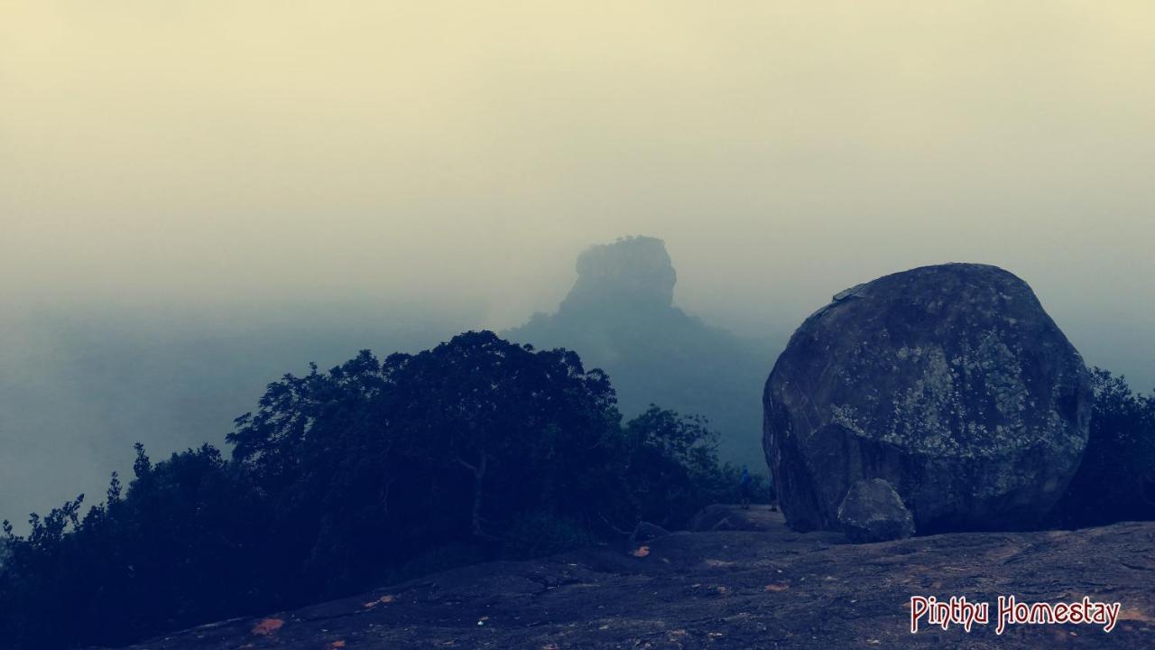 Pinthu Home Stay Sigiriya Esterno foto